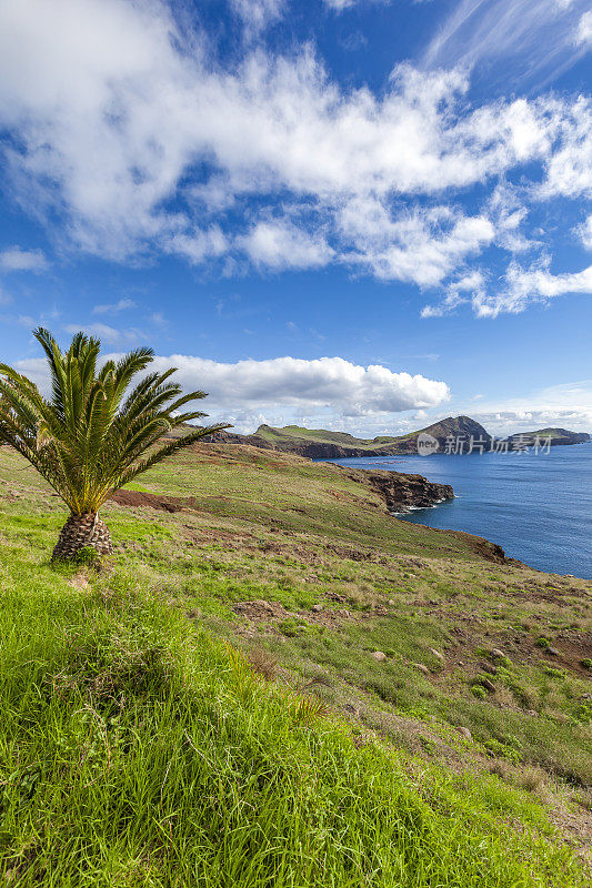 ponta de sao lourenco 视图